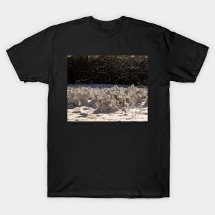 Snowy scenery T-Shirt